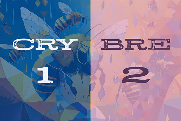 Bees win 2-1 at Crystal Palace
