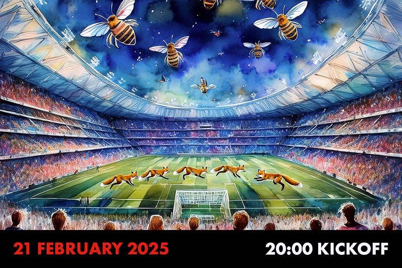 Brentford at Leicester City preview