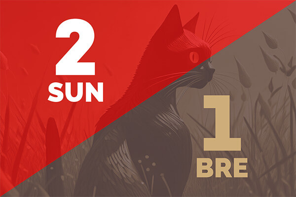 Sunderland beat Brentford 2-1