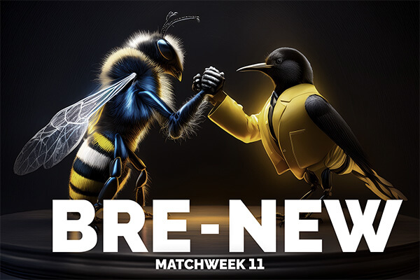 Brentford vs Newcastle, preview