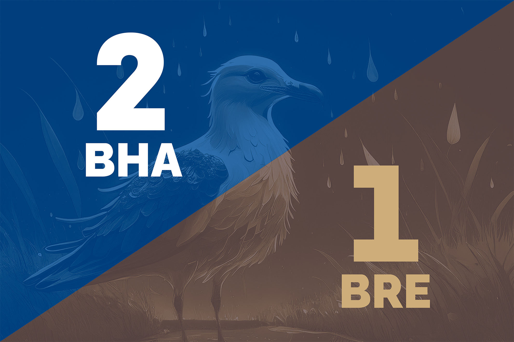 Brighton beats the Bees 2-1