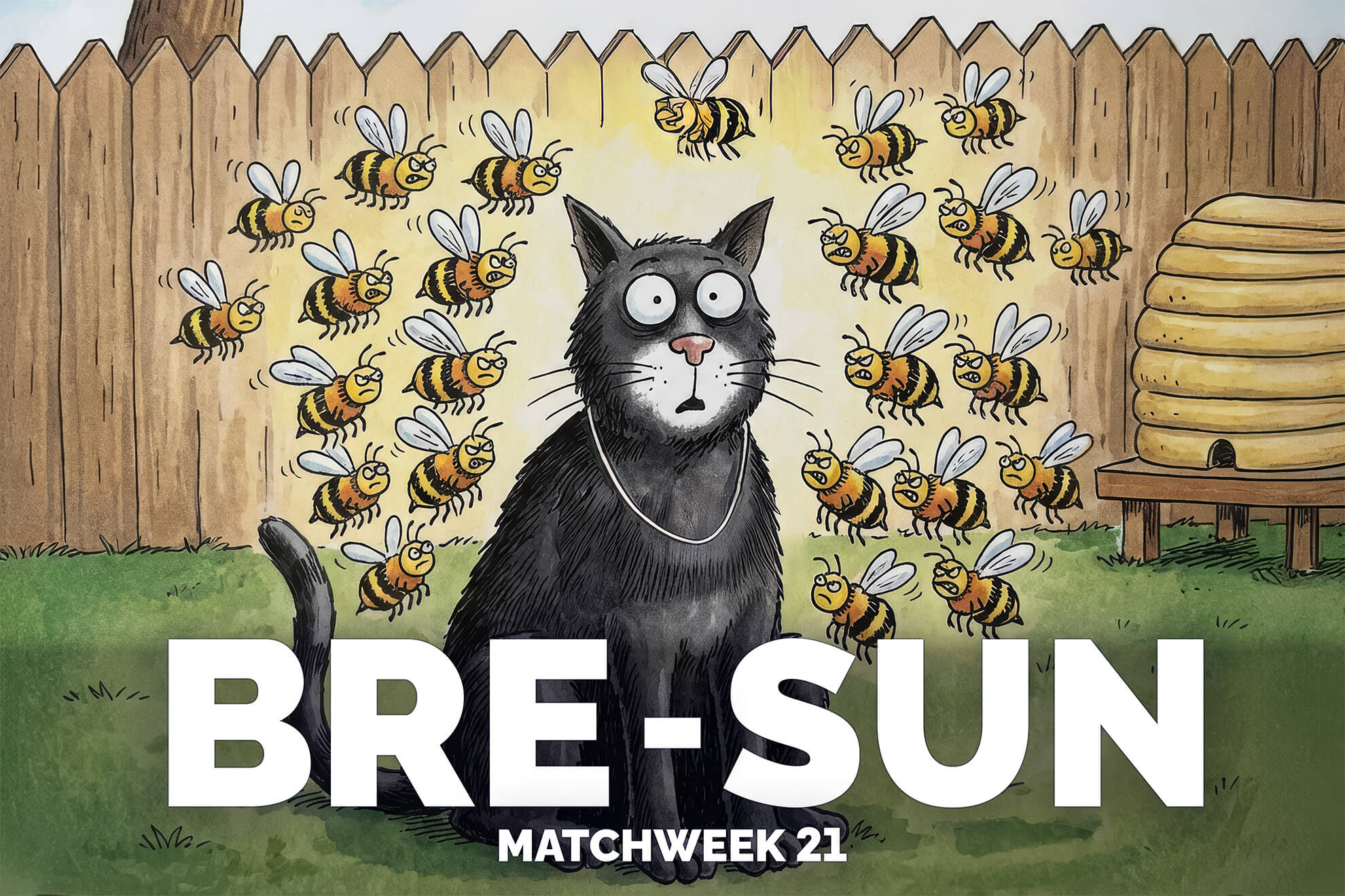 Brentford vs Sunderland, preview