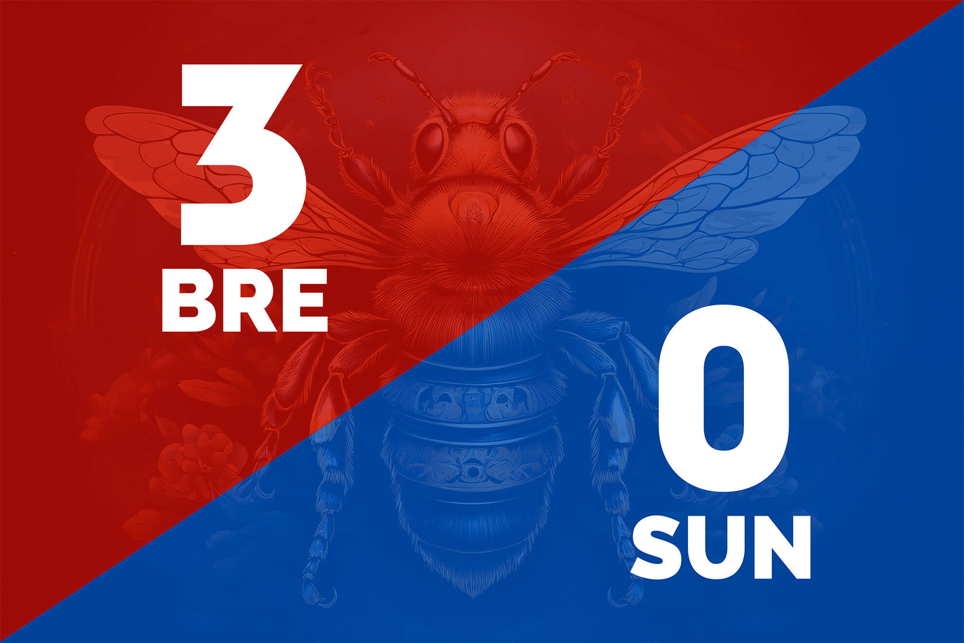 Bees beat Sunderland 3-0