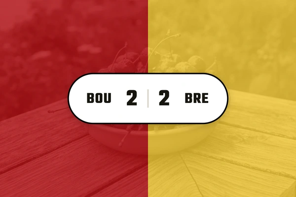Bees and Cherries draw 2-2