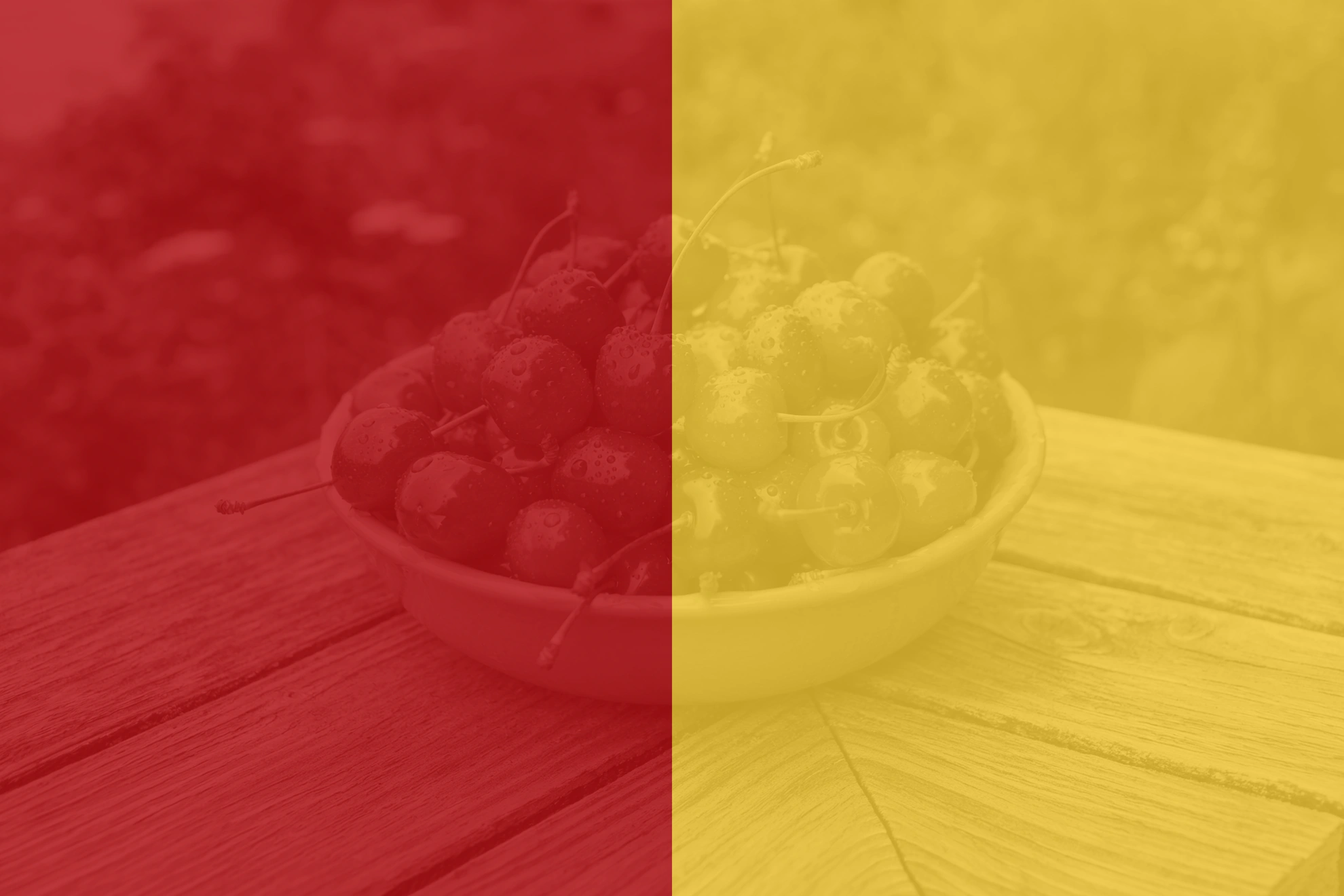 Bees and Cherries draw 2-2