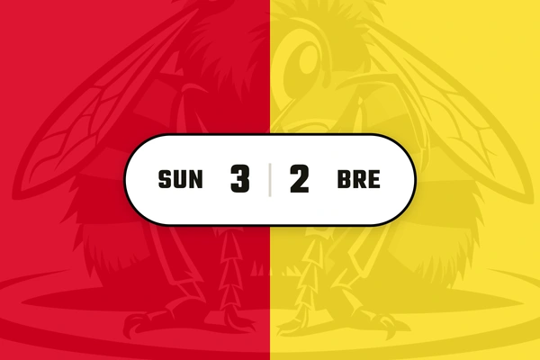 Bees lose to Sunderland 2-3